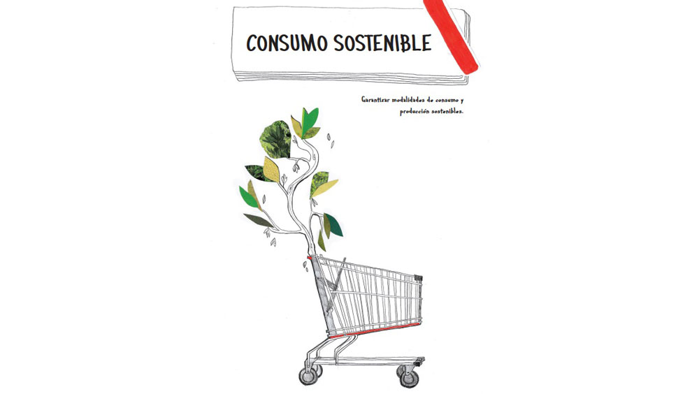 Ideas para trabajar el enfoque ecosocial en la educación